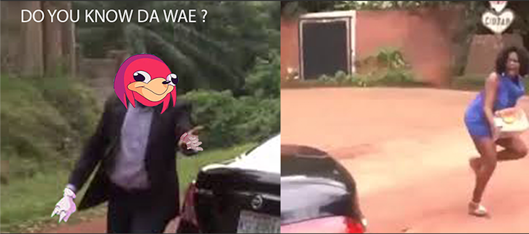 Meme
